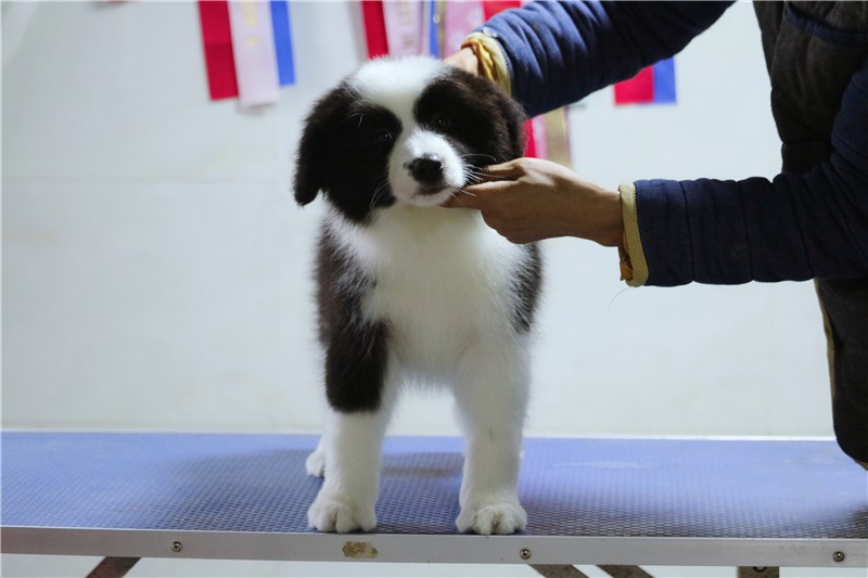 微信图片_201911261429304.jpg